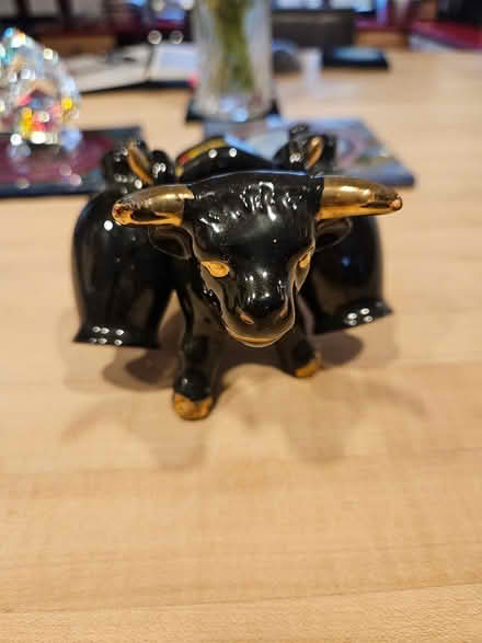 Photo of free Salt and Pepper Bull (Groton NE Corner) #1