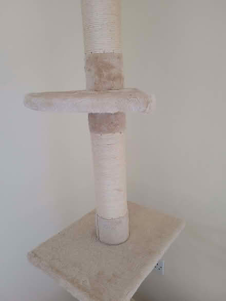Photo of free Tall scratching post for cats (Whitminster GL2) #2