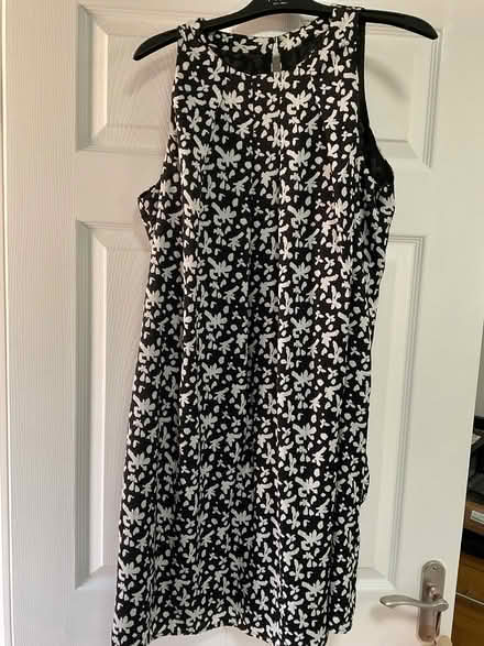 Photo of free Mango Dresses (Waverton CH3) #2