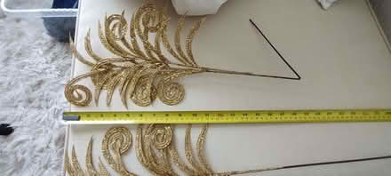 Photo of free Gold Glitter Ferns. (Berrow TA8) #3