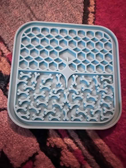 Photo of free Treat licky Matt (Hove) #1