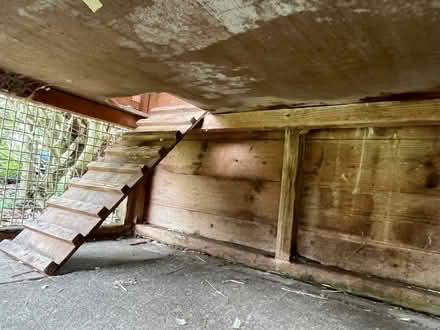 Photo of free Hutch and run (Blinkbonny EH14) #4