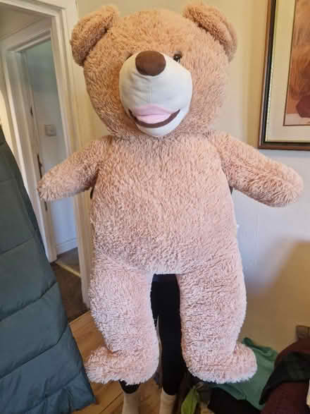 Photo of free Large teddy (Edinburgh EH12) #1