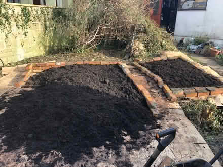 Photo of Woodchip (Whitehall BS5) #1