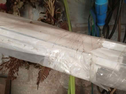 Photo of free Electrical trunking (Ludlow SY8) #1