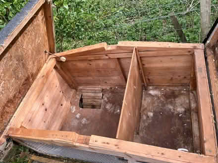 Photo of free Hutch and run (Blinkbonny EH14) #3