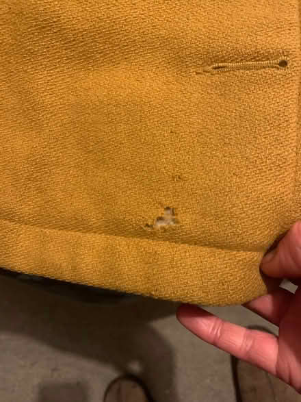 Photo of free Yellow jacket (Montpelier Road area BN3) #3