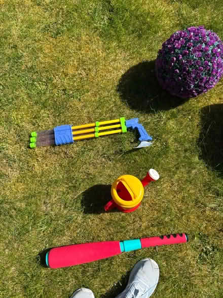 Photo of free Garden items (CV3) #1