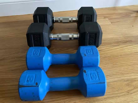 Photo of free Weights 8 lbs and 20 lbs (Waltham near Moody and Main) #1