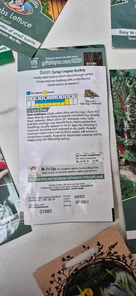Photo of free Vegetable and herb seeds (St Helier SM4) #2