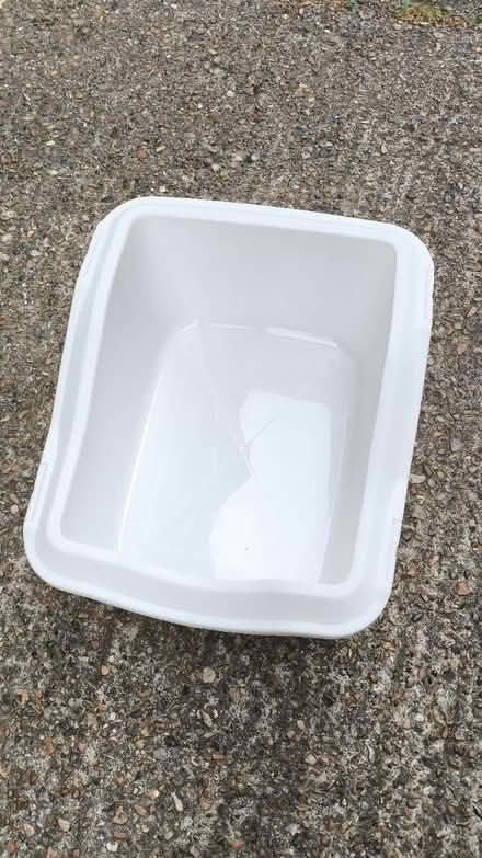Photo of free White large cat litter box (SE1) #2