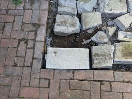 Photo of free Used cinder blocks (West End LA4) #4