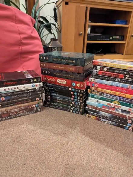 Photo of free 5 bags of DVDs plus blank double layer DVD-Rs and cases (Maiden Erlegh Nature Reserve RG6) #2