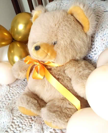 Photo of free Large vintage teddy bear Lovely, clean, fluffy condition (Bingham NG13) #2