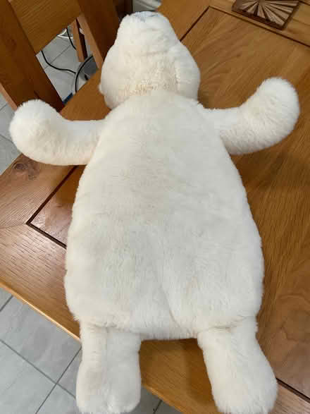 Photo of free Hot Water Bottle (Waverton CH3) #2
