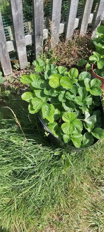 Photo of Hi is eneyone gifting jellery box (SY3) #1