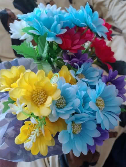 Photo of free Plastic flowers (Fishponds BS16) #1