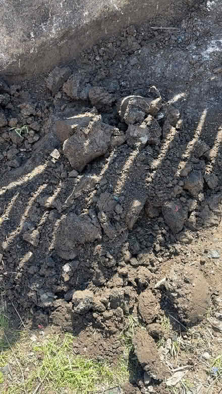 Photo of free Soil (Shipley BD18) #3