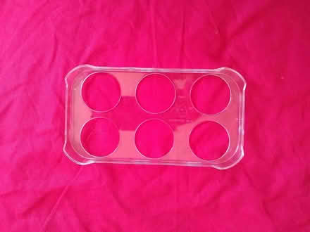 Photo of free Plastic Egg Tray (CT9) #3