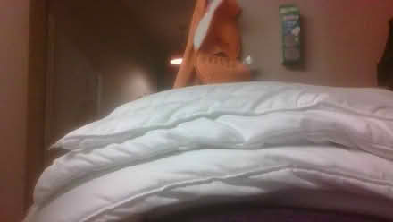 Photo of free excess bedding (BA2) #1