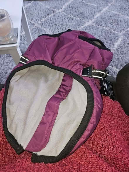 Photo of free Dog coat (Normanton DE23) #2