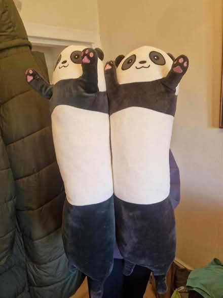 Photo of free Panda long soft teddy (Edinburgh EH12) #1