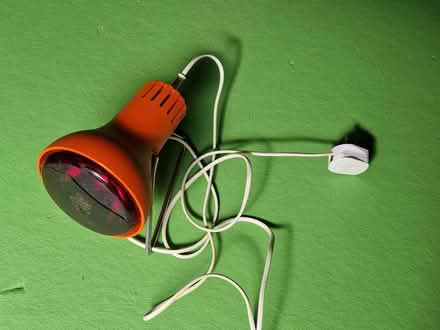 Photo of free Heat lamp (North Road) #1