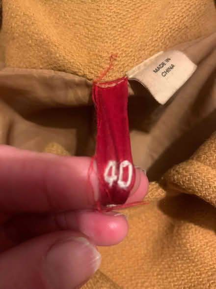 Photo of free Yellow jacket (Montpelier Road area BN3) #2