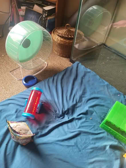 Photo of free Large Hamster Supplies + fish tank (Near Downtown Ypsilanti) #4