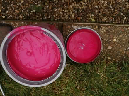 Photo of free Paint. Emulsion. (Isfield BN8) #2