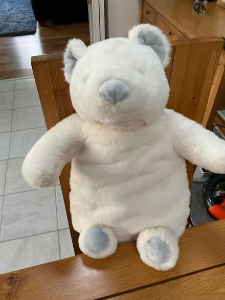 Photo of free Hot Water Bottle (Waverton CH3) #1