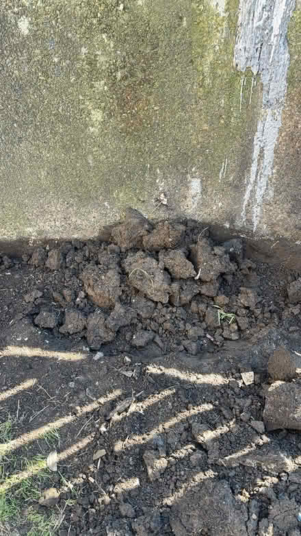 Photo of free Soil (Shipley BD18) #1