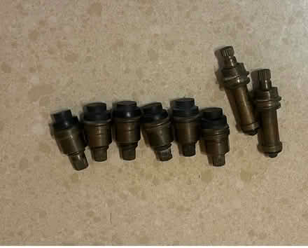 Photo of free Stems (St. Louis-Southampton) #1