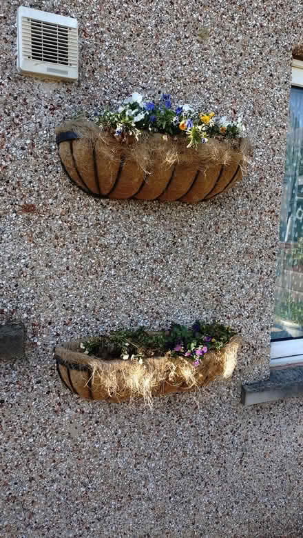 Photo of free Wall planters (Denholme BD13) #1