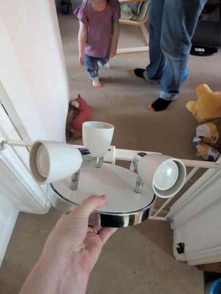 Photo of free Ceiling light (Princes park, BN22) #1