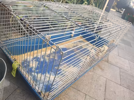 Photo of free Guinea Pig Cage (North Fremantle) #2