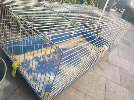 Photo of free Guinea Pig Cage (North Fremantle) #2