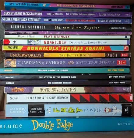 Photo of free Two boxes of kids/youth books (Santa Clara near Great America) #2