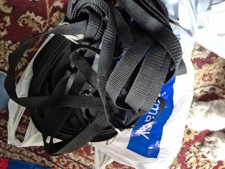 Photo of free dog training lead (N17 the roundway) #1