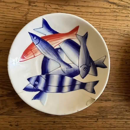 Photo of free "Red Herring" plates (Berkeley, near Claremont Hotel) #3