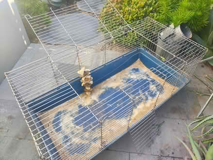 Photo of free Guinea Pig Cage (North Fremantle) #1