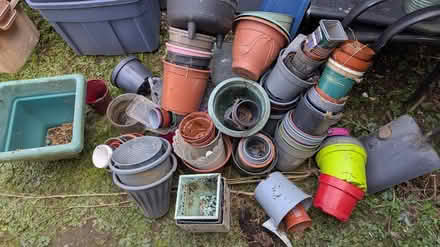 Photo of free Plant pots (SY11) #1
