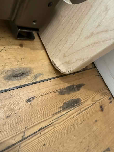 Photo of free Electric standing desk (TW1) #3