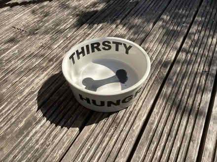 Photo of free Dog bowl (Didcot, OX11) #1
