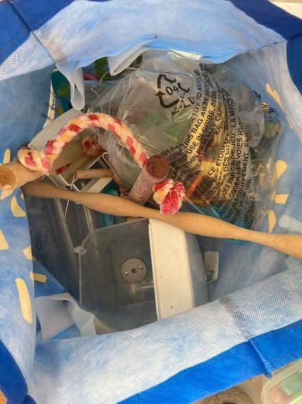 Photo of free Bird Cage & Accessories (Centretown) #2