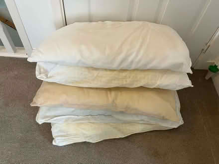 Photo of free Old pillows x 5 (Norfolk Park S2) #1