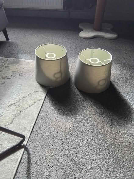 Photo of free 2 grey lightshades (Granton EH5) #1