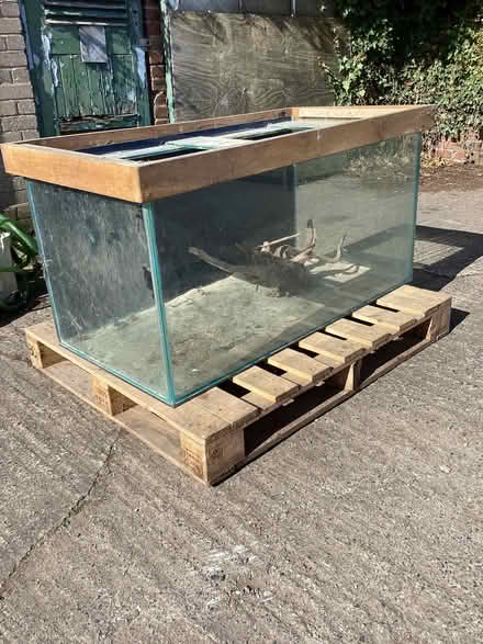 Photo of free Fish tank (Long Marton CA16) #1