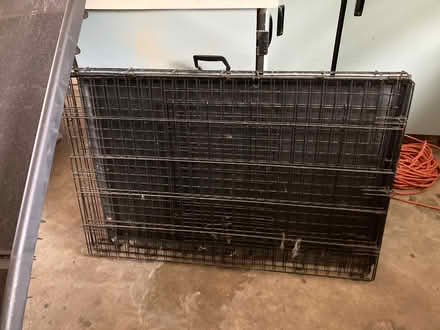 Photo of free Pet Products (Town and Country) #4