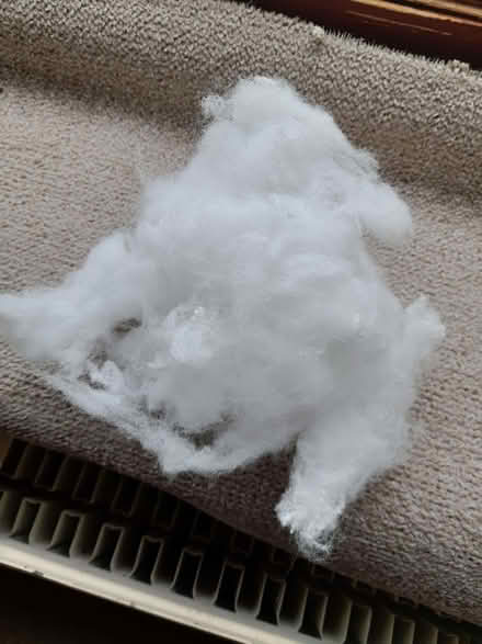 Photo of free Bag of cushion stuffing (Vole TA9) #2